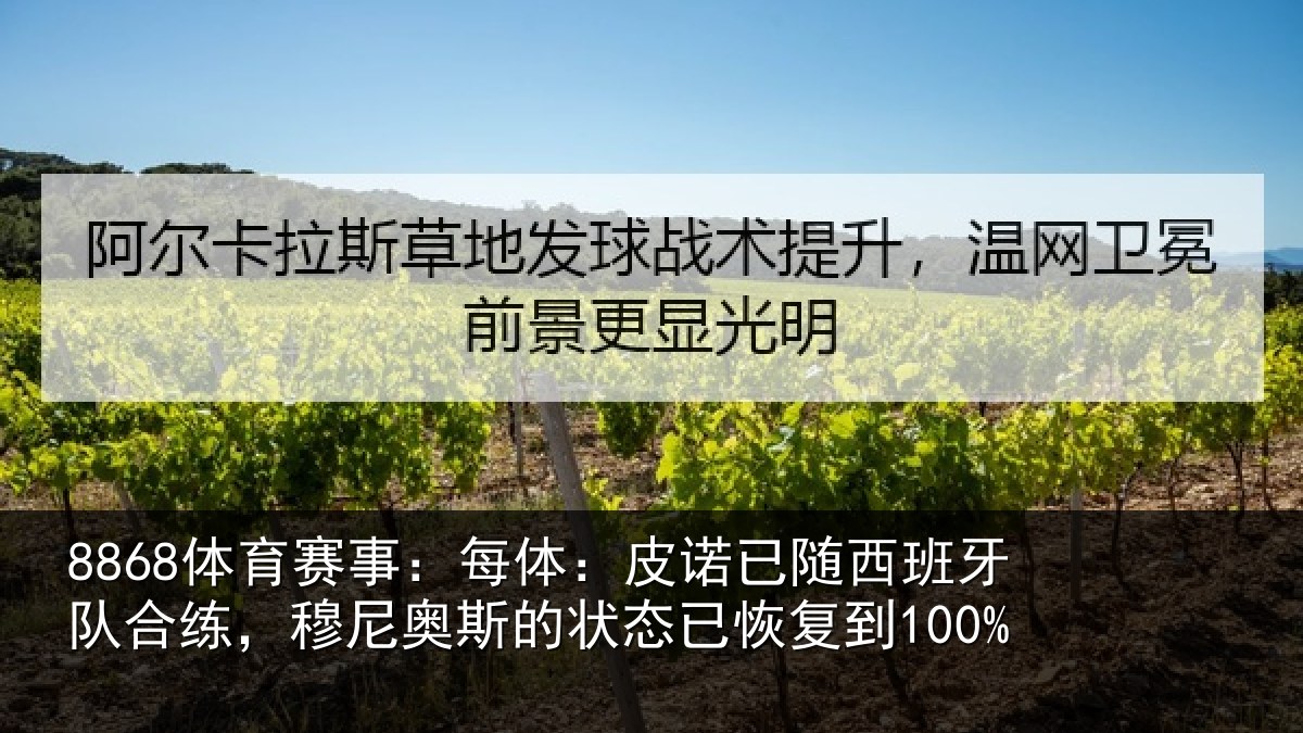 8868体育赛事:每体:皮诺相关情况,穆尼相关情况到100%