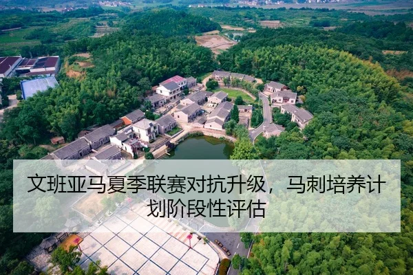 文班亚马夏季联赛对抗升级，马刺培养计划阶段性评估