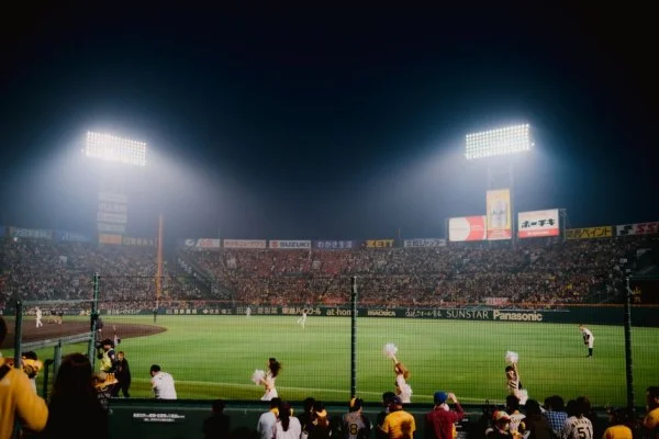 baseball stadium night crowd